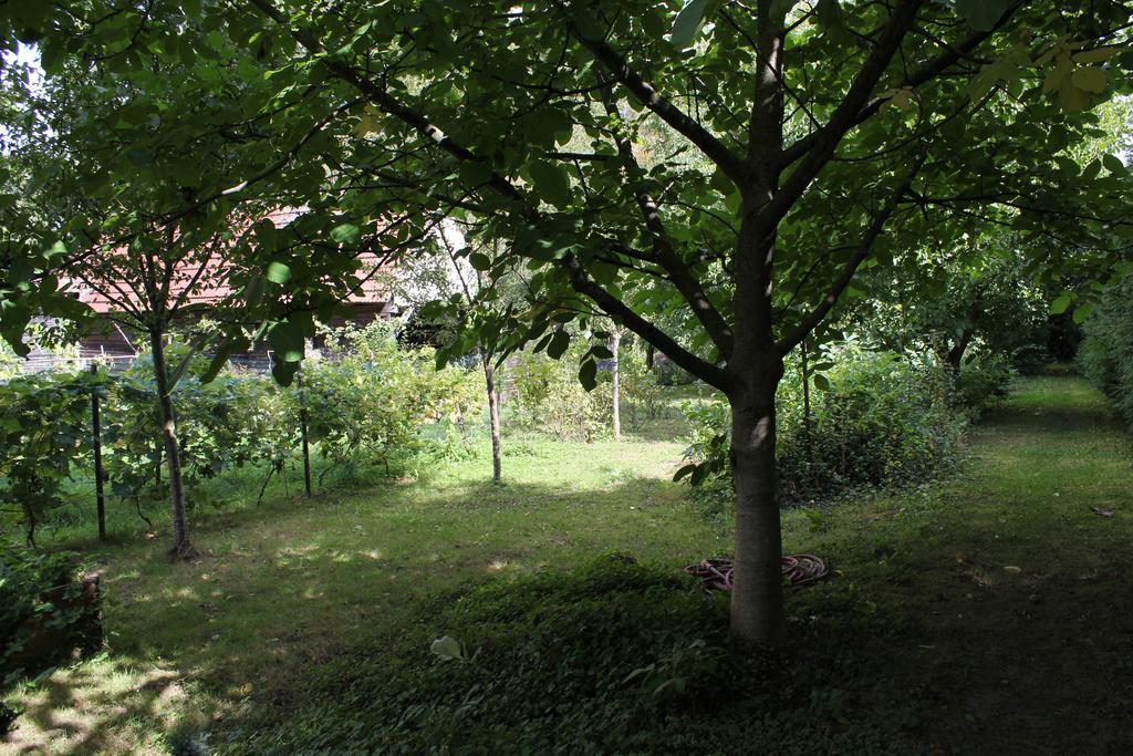 Willa Chez Salome Et Fritz Ingolsheim Zewnętrze zdjęcie