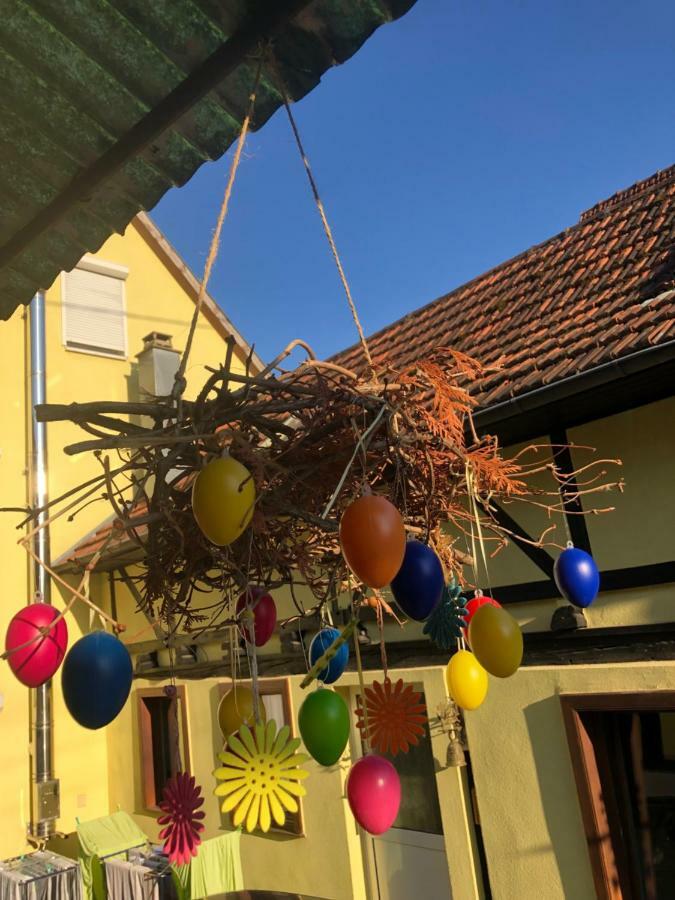 Willa Chez Salome Et Fritz Ingolsheim Zewnętrze zdjęcie